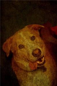 Love Dog