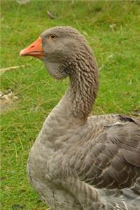 Gray Goose in the Grass Journal