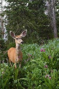 Mule Deer Having a Snack in a Summer Flower Garden Journal