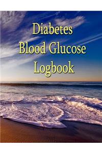 Diabetes blood glucose logbook.