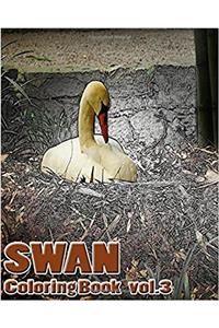 Swan Coloring Book: 3
