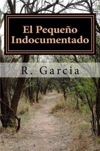 El Pequeño Indocumentado