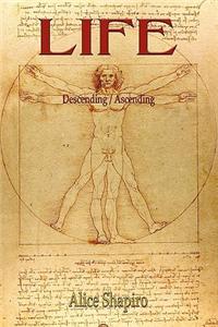 Life Descending / Ascending