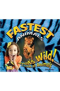 Fastest Animals