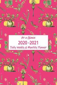 At a Glance 2020-2021 Daily Weekly & Monthly Planner