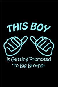 This Boy is Getting Promoted to Big Brother