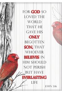 John 3