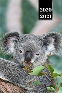 Koala Bear Rainforest Week Planner Weekly Organizer Calendar 2020 / 2021 - Tired Eyes