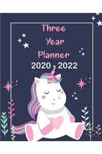 2020-2022 Three Year Planner