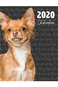 2020 Chihuahua