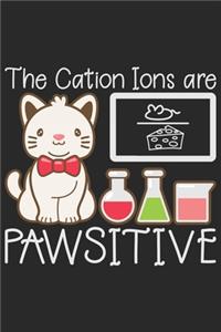 The Cation Ions Are Pawsitive