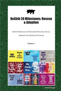 BoShih 20 Milestones