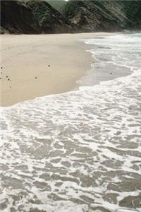 2020 Daily Planner Beach Photo 388 Pages
