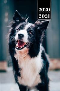 Border Collie Dog Calendar Week Planner 2020 / 2021 - Very Happy