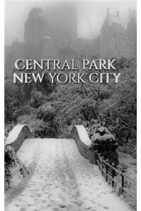 Central park Bridge New York City snow Winter Blank Journal $ir Michael Huhn designer edition