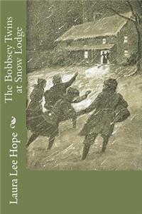 The Bobbsey Twins at Snow Lodge