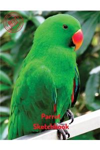 Parrot Sketchbook