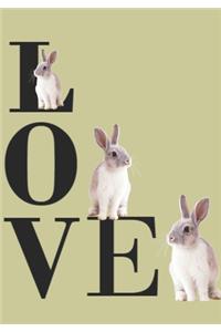 Love: Rabbits Diary. Weekly Planner /Engagement Book.