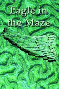 Eagle in the Maze