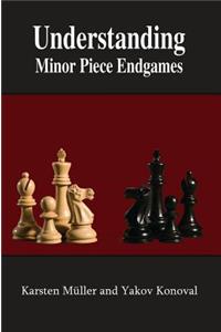 Understanding Minor Piece Endgames