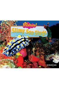 Slimy Sea Slugs