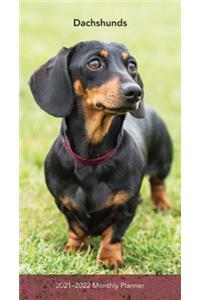 Dachshunds 2021 Pocket Planner