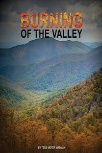 Burning Of The Valley