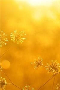 Autumn Sunset Notebook