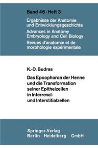 Epoophoron Der Henne Und Die Transformation Seiner Epithelzellen in Interrenal- Und Interstitialzellen