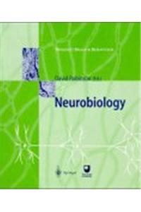 Neurobiology and the Human Brain