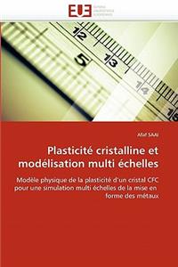 Plasticité Cristalline Et Modélisation Multi Échelles