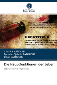 Hauptfunktionen der Leber