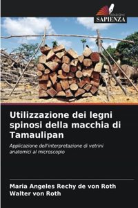 Utilizzazione dei legni spinosi della macchia di Tamaulipan