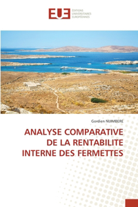 Analyse Comparative de la Rentabilite Interne Des Fermettes