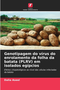 Genotipagem do vírus do enrolamento da folha da batata (PLRV) em isolados egípcios