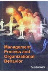 Management Process And Organizational Behavior
