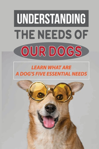 Understanding The Needs Of Our Dogs