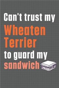 Can't trust my Wheaten Terrier to guard my sandwich
