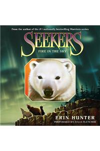 Seekers #5: Fire in the Sky