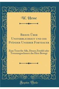 Briefe ï¿½ber Unsterblichkeit Und Die Pfï¿½nder Unserer Fortdauer: Zum Trost Fï¿½r Alle, Denen Zweifel Oder Trennungsschmerz Das Herz Bewegt (Classic Reprint)