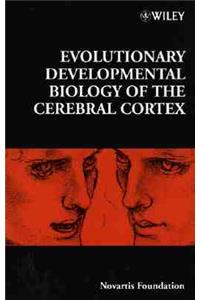 Evolutionary Developmental Biology of the Cerebral Cortex