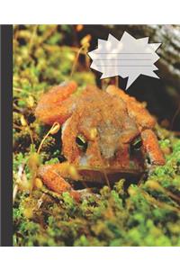 Cute Funny Frog Face in the Green Moss Wide-ruled Lined School Composition Notebook