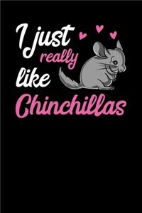 I Just Really Like Chinchillas