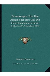 Bemerkungen Uber Den Allgemeinen Bau Und Die Geschlechtsunterschiede