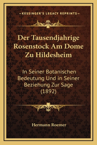 Der Tausendjahrige Rosenstock Am Dome Zu Hildesheim