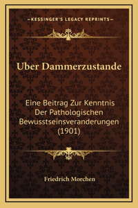 Uber Dammerzustande