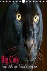 Big Cats • Faces of the most beautiful predators 2016