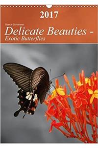 Delicate Beauties - Exotic Butterflies 2017