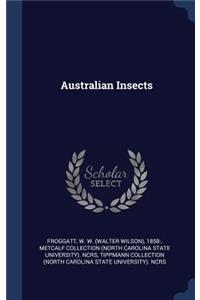 Australian Insects
