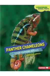 Panther Chameleons